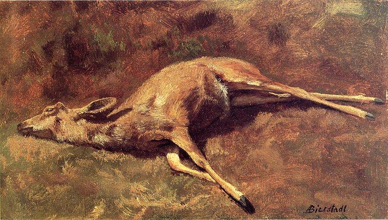 Albert Bierstadt A Native of the Woods Spain oil painting art
